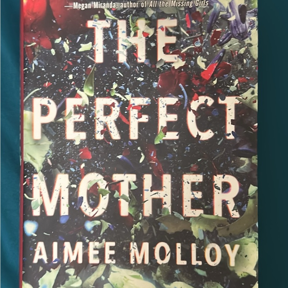 The Perfect Mother Book by Aimee Molloy